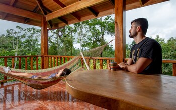 hummingbird hacienda