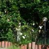 Casa Omnia B&B,,2 star