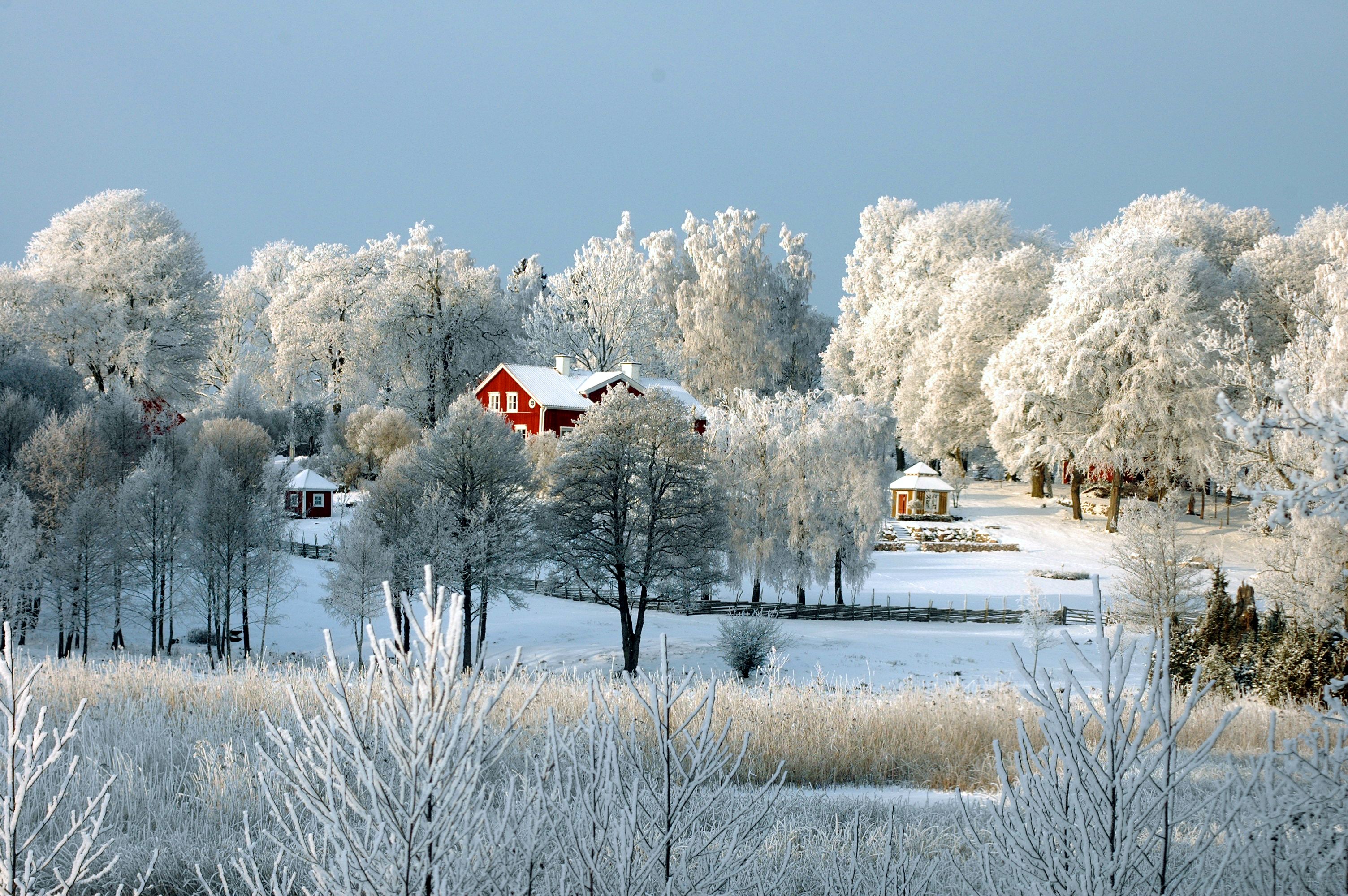 solviken vandrarhem and konferens