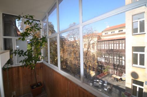 travel and joy backpackers