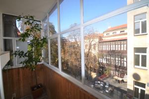 travel and joy backpackers