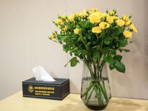 greentree inn nantong haian development zone cheng