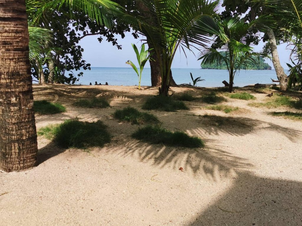 libong anda view