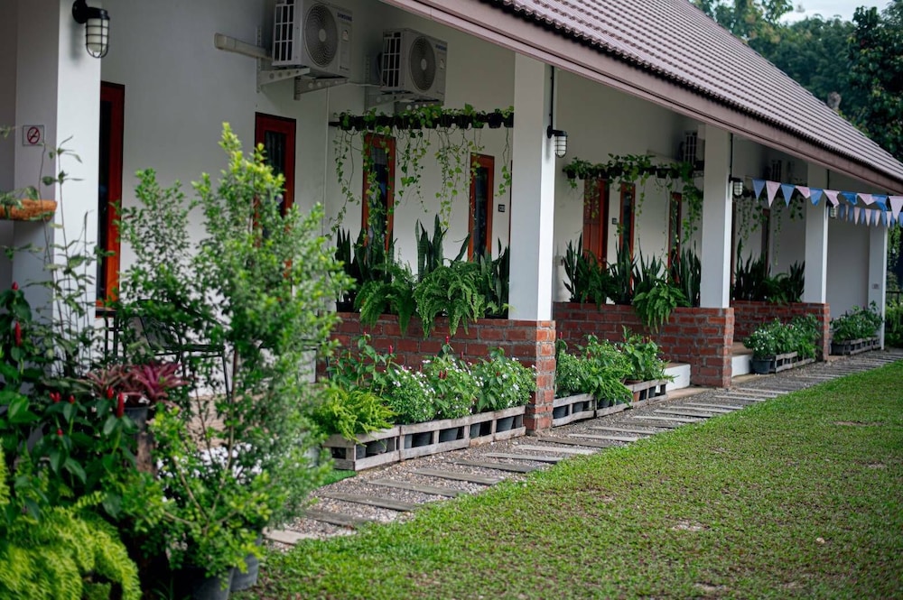 cozyhousechiangrai