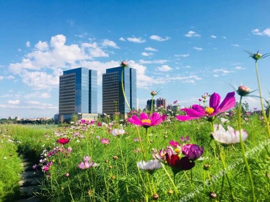 lavande hotel kuitun central park