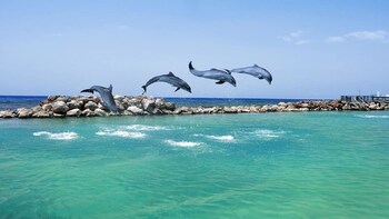 ocean view villa at coolshade ocho rios