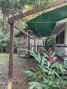 sabalo lodge tours and cabins