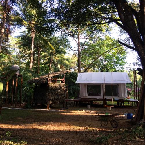 sabalo lodge tours and cabins