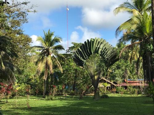 sabalo lodge tours and cabins