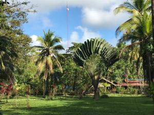 sabalo lodge tours and cabins