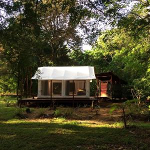 sabalo lodge tours and cabins