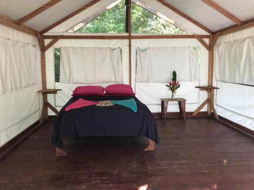 sabalo lodge tours and cabins