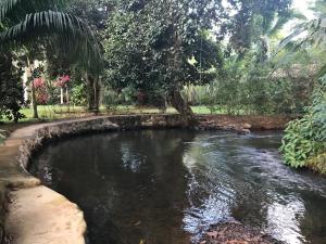 sabalo lodge tours and cabins