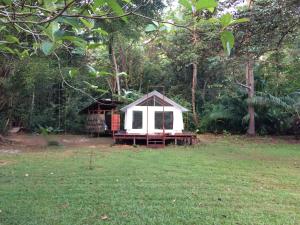 sabalo lodge tours and cabins