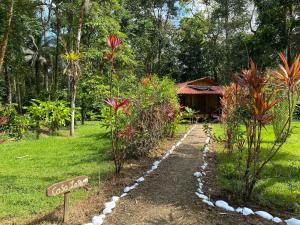 sabalo lodge tours and cabins