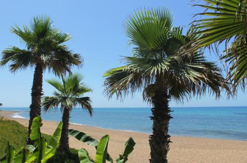 ionion beach apartment hotel