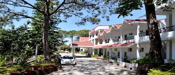 mountain quail morni