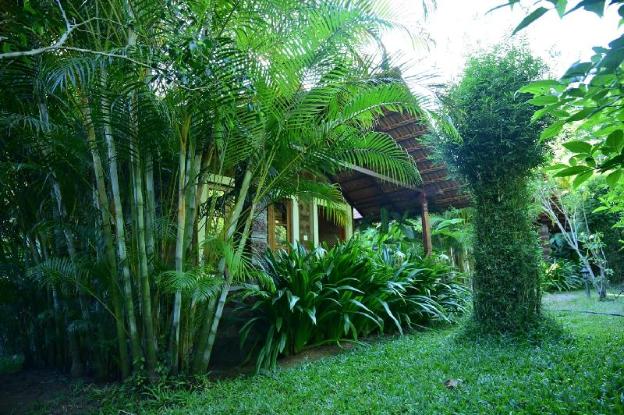 copper edge eco resort coorg