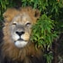 57 waterberg lodge