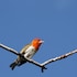 57 waterberg lodge