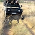 57 waterberg lodge