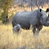 57 waterberg lodge