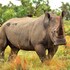 57 waterberg lodge