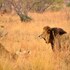 57 waterberg lodge