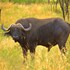 57 waterberg lodge