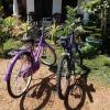 Fairview Dill Homestay,,3 star