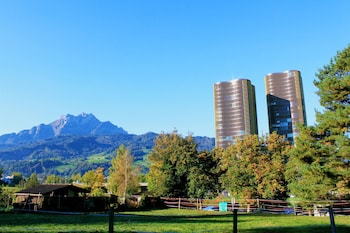 lucerne