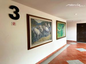 naris art hotel