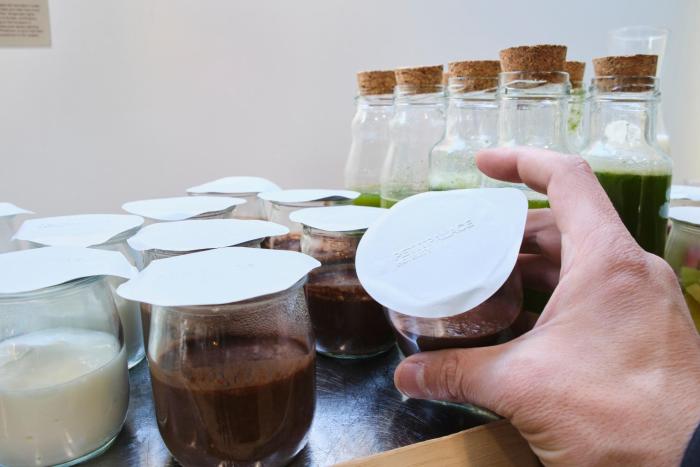 petit palace triball