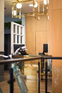 petit palace triball