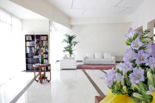 hotel sorriso