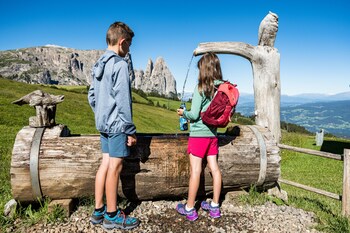 hotel emmy five elements