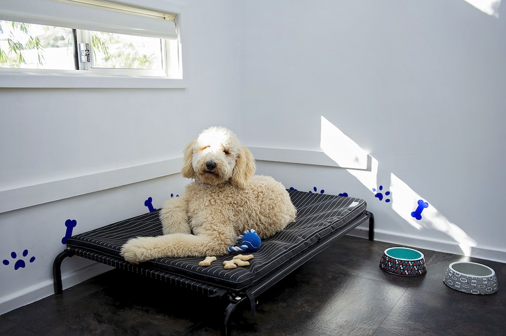 discovery parks woodman point