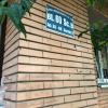 green apartment no 59