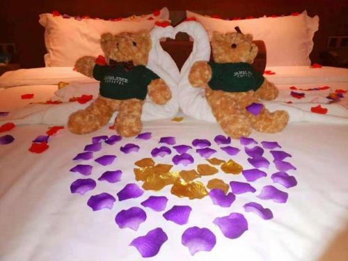 james joyce coffetel shijiazhuang century park shiji huamao