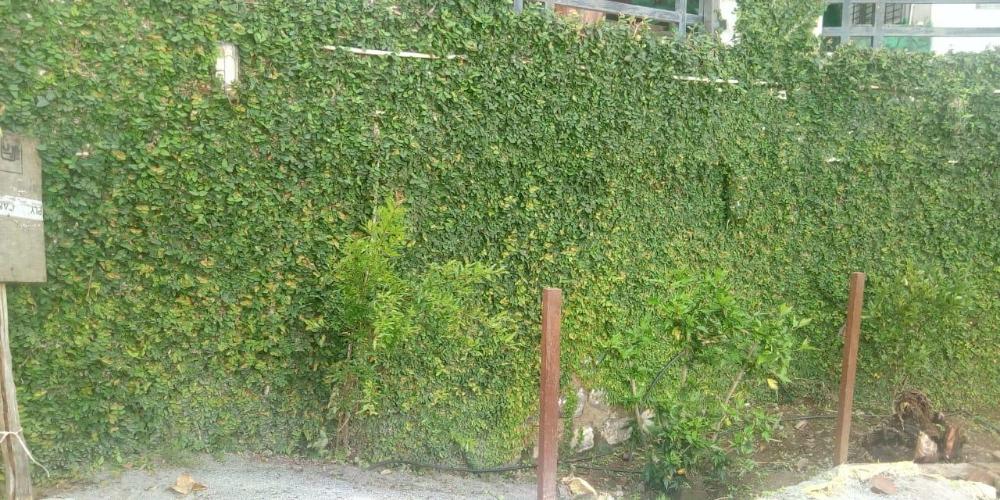 elgozo hotel dreams paradise