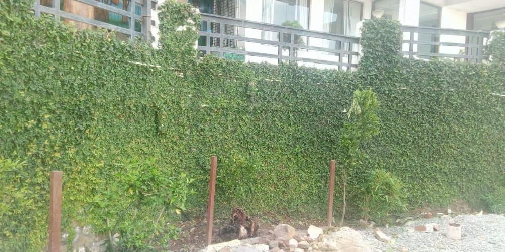 elgozo hotel dreams paradise