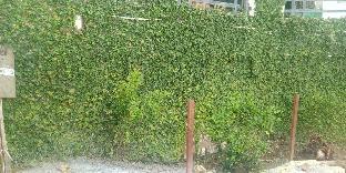 elgozo hotel dreams paradise