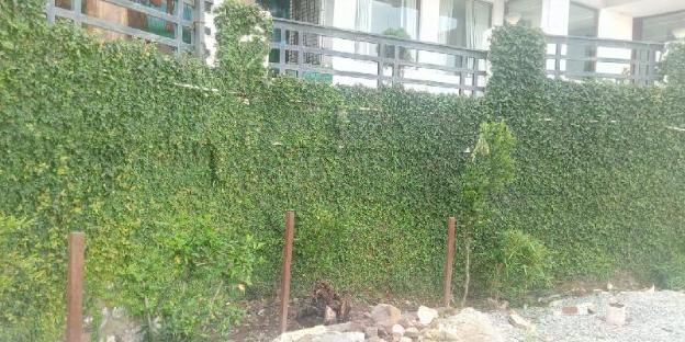 elgozo hotel dreams paradise