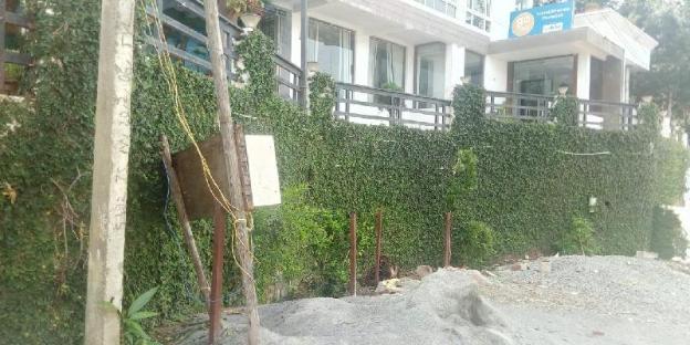 elgozo hotel dreams paradise