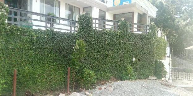 elgozo hotel dreams paradise