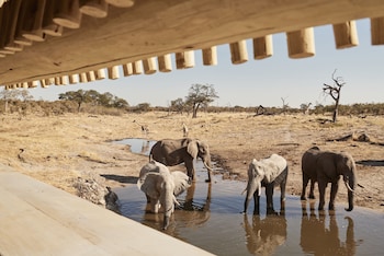 belmond safaris
