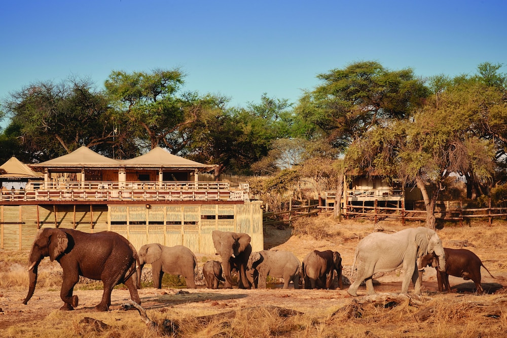belmond safaris
