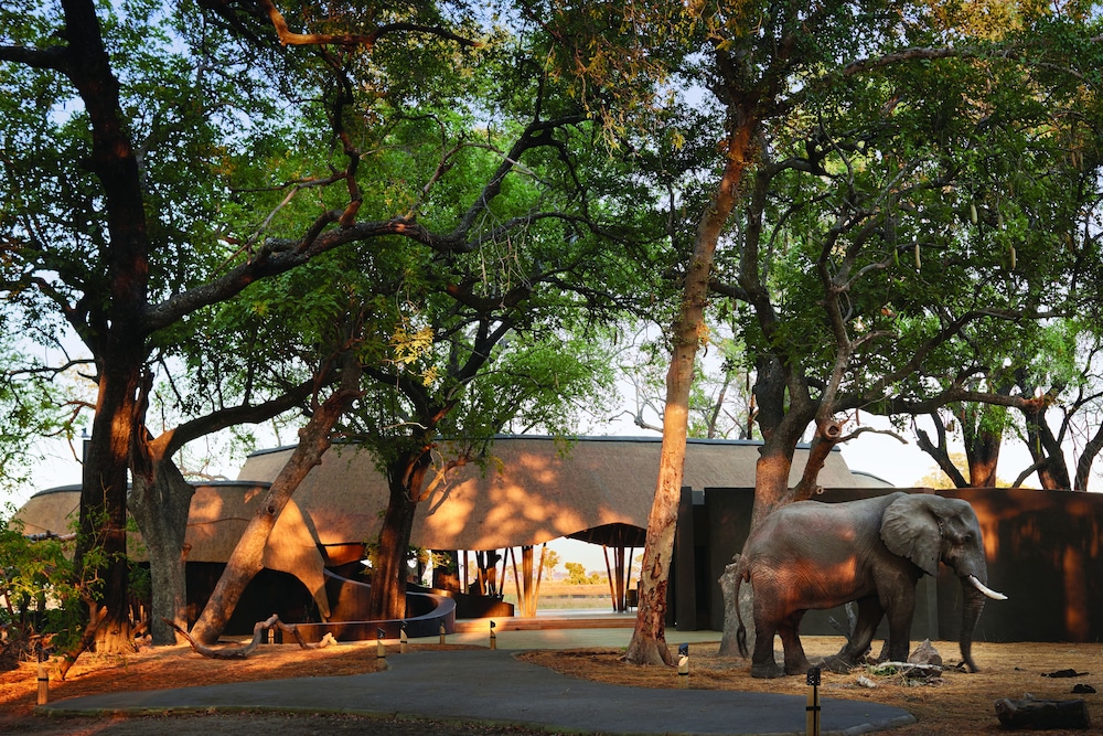 belmond safaris