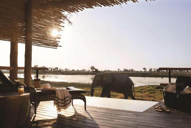chobe national park