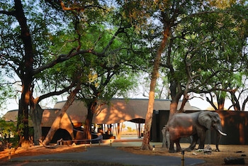 chobe national park